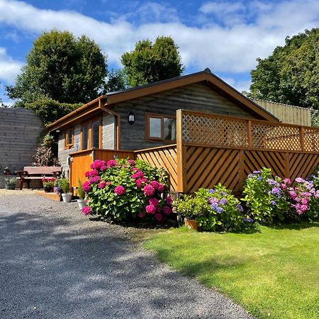 Swansea Log Cabin Pontardawe Exterior foto