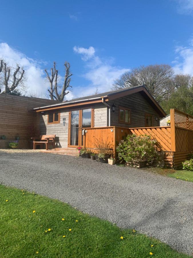 Swansea Log Cabin Pontardawe Exterior foto
