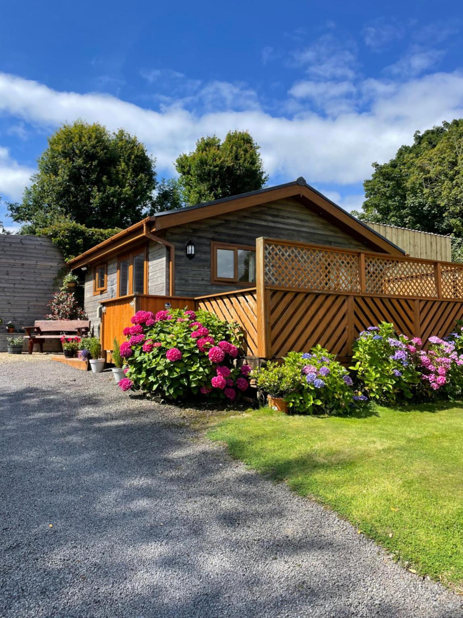 Swansea Log Cabin Pontardawe Exterior foto