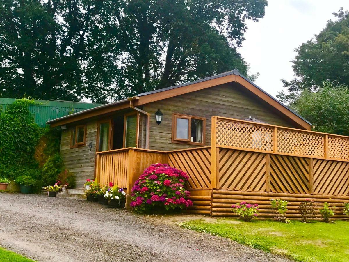 Swansea Log Cabin Pontardawe Exterior foto